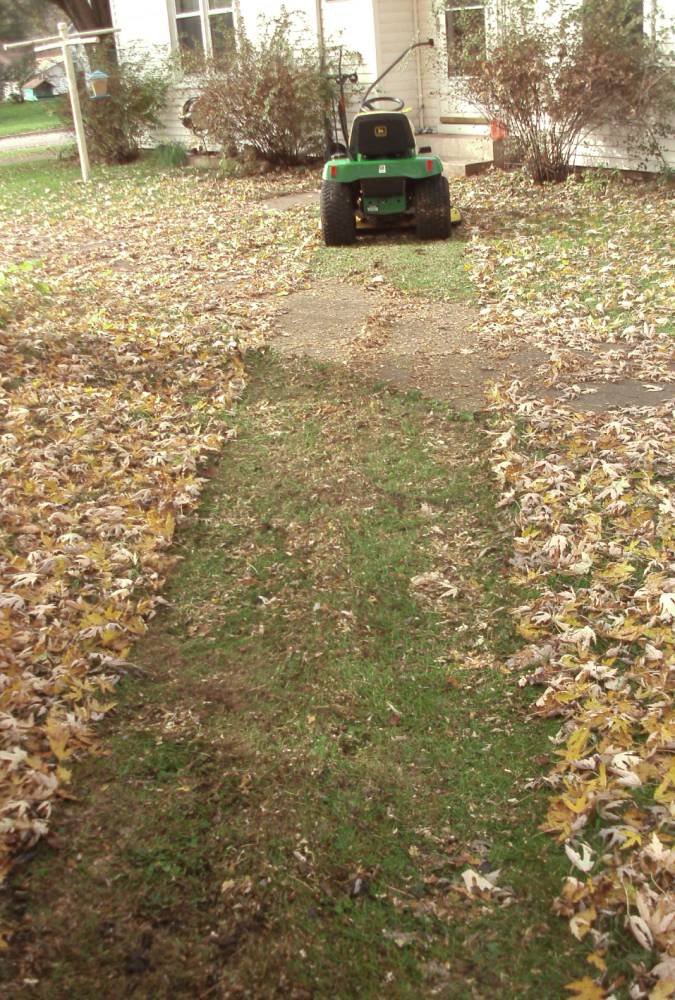 AFTER five seconds - Mow-the-Leaves_675x1000_13.jpg
