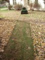 John-Deere-LT155-Lawn-Tractor-mowing-the-leaves_cuts-through-leaves-like-a-monster-mulcher_too-dang-easy_Number13.JPG