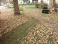 John-Deere-LT155-Lawn-Tractor-mowing-the-leaves_see-the-path-of-leaves-that-are-now-only-plant-food.JPG