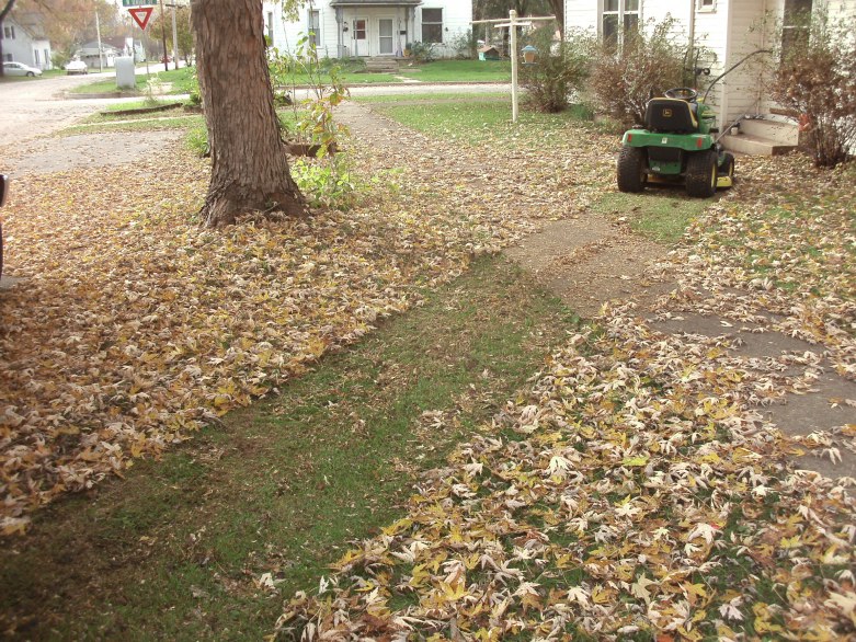 John-Deere-LT155-Lawn-Tractor-mowing-the-leaves_see-the-path-of-leaves-that-are-now-only-plant-food.JPG